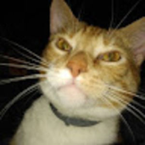 Meet your Posher, Brenda